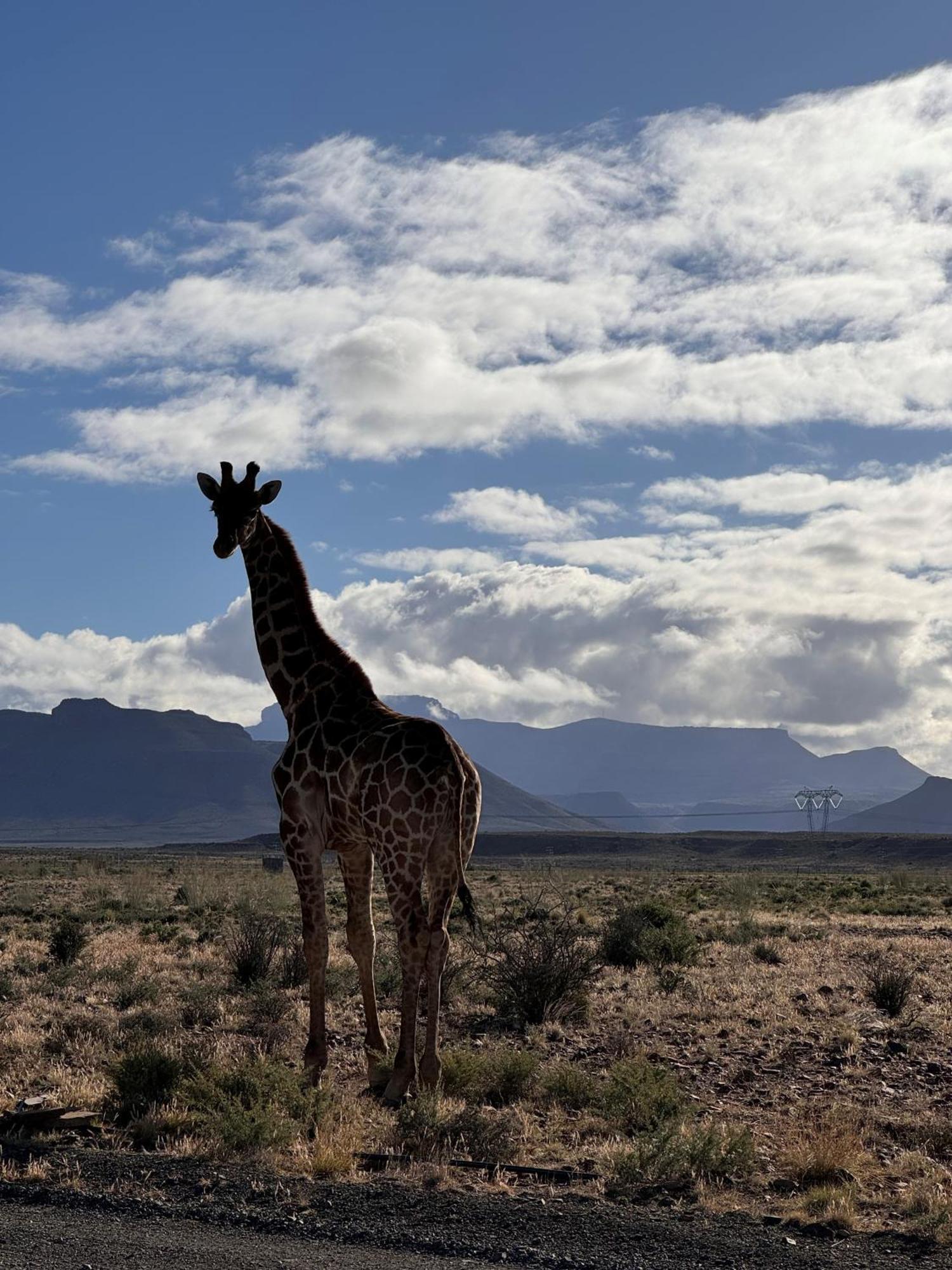 Teri-Lemveli Lodge Beaufort West Exterior foto